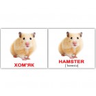 Карточки Домана «Свійські тварини / Domestic animals» МІНІ