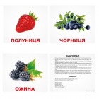 Карточки Домана «Ягоди» українською мовою, ламіновані
