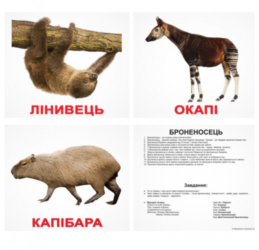 Карточки Домана «Екзотичні тварини»  українською мовою
