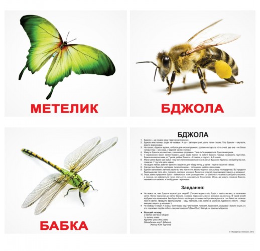 Карточки Домана «Комахи»  українською мовою