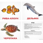 Карточки Домана «Мешканці водойм»  українською мовою, ламіновані