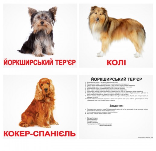 Карточки Домана «Породи собак» українською мовою
