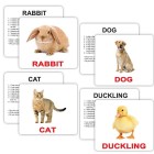 Карточки Домана «animals»  англійською мовою