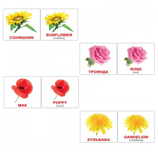 Карточки Домана «Flowers/Квіти»  англійською мовою