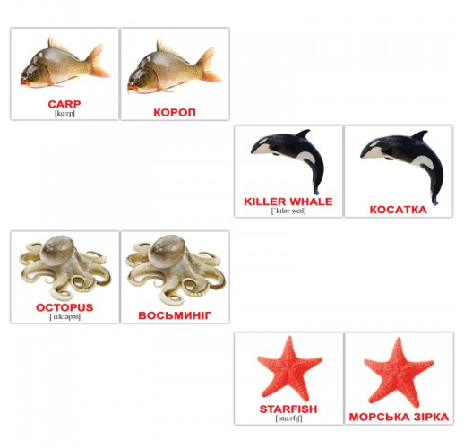Карточки Домана «water animals/водяні тварини»  англійською мовою